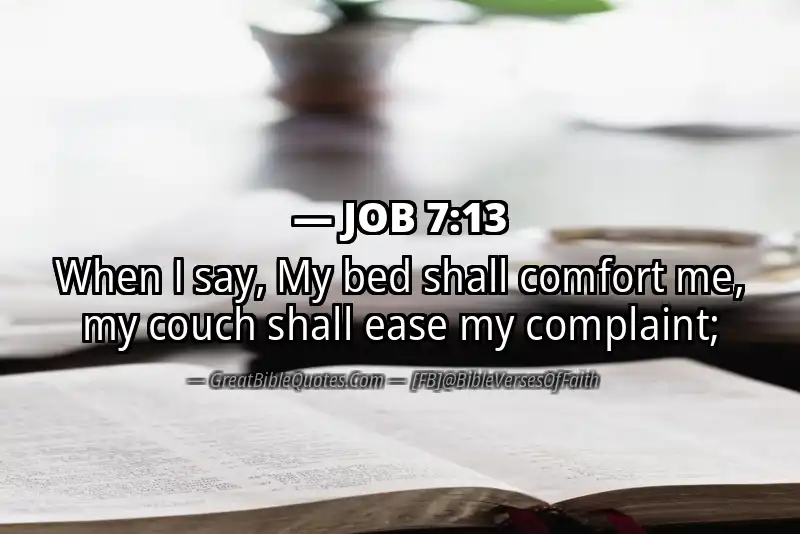 JOB 7:13 Verse