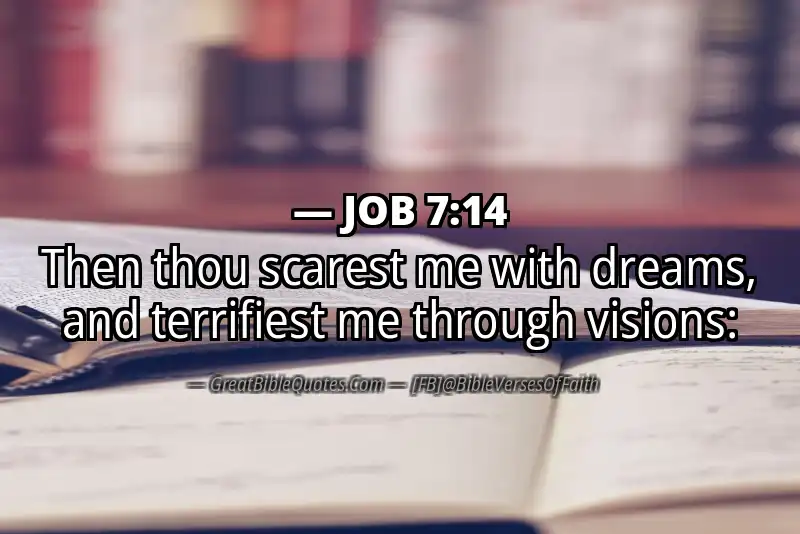 JOB 7:14 Verse