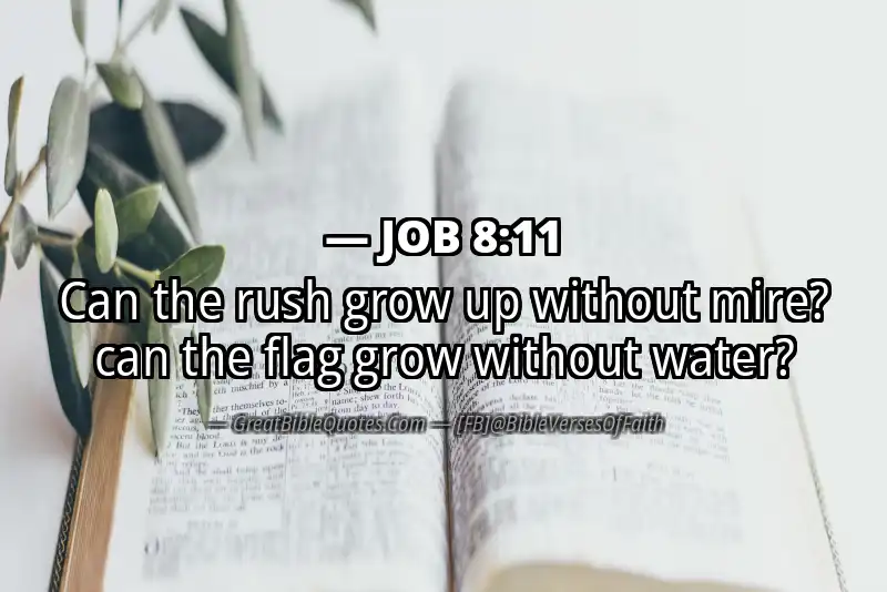 JOB 8:11 Verse Image
