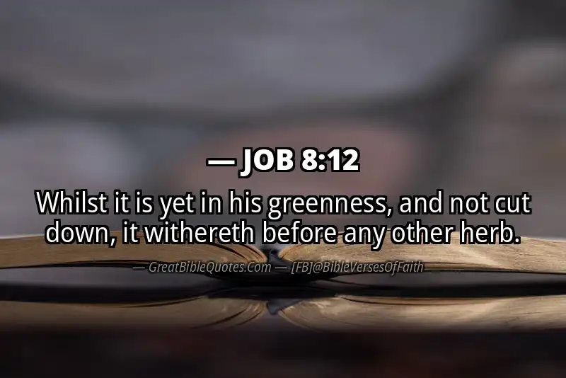 JOB 8:12 Verse Image