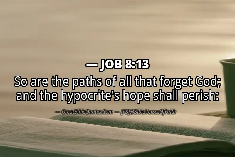 JOB 8:13 Verse Image