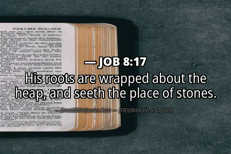 JOB 8:17 Verse