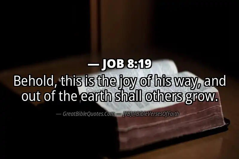JOB 8:19 Verse