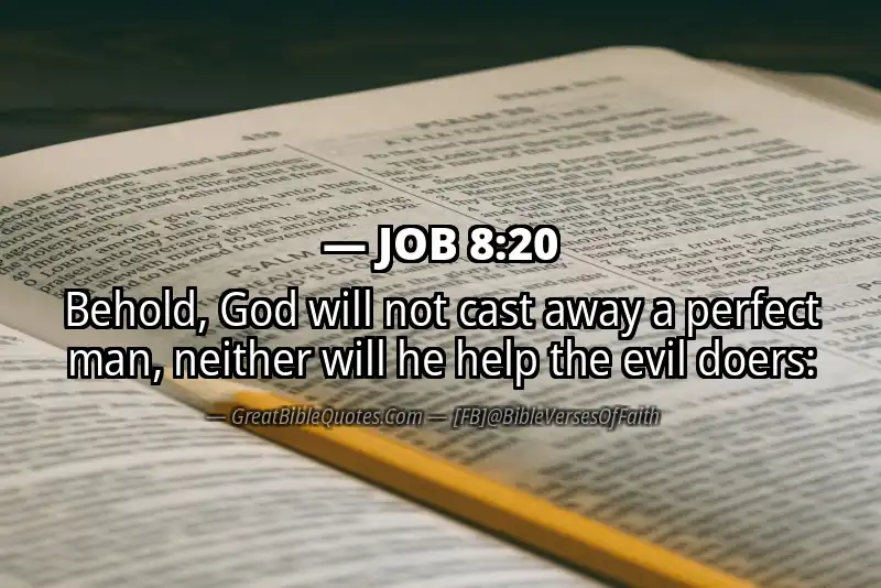 JOB 8:20 Verse