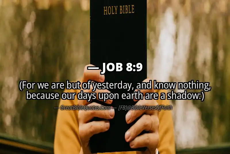 JOB 8:9 Verse