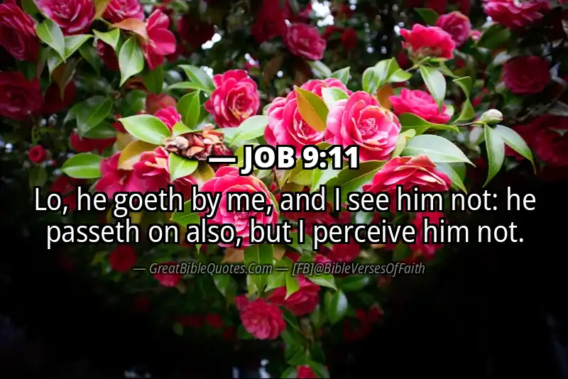 JOB 9:11 Verse