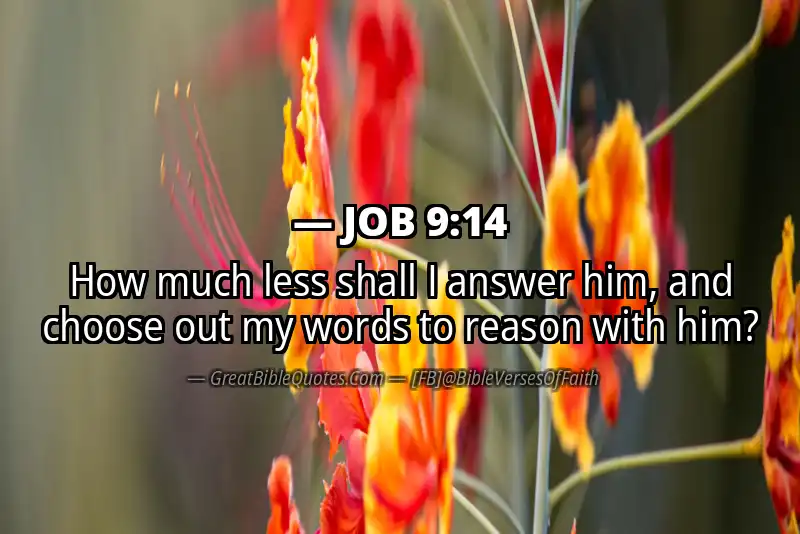 JOB 9:14 Verse