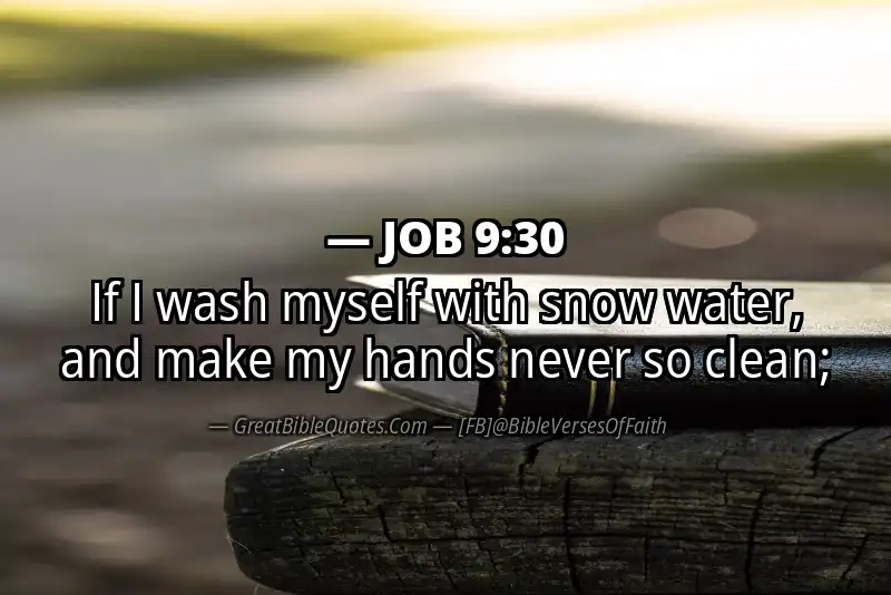 JOB 9:30 Verse