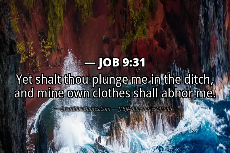 JOB 9:31 Verse