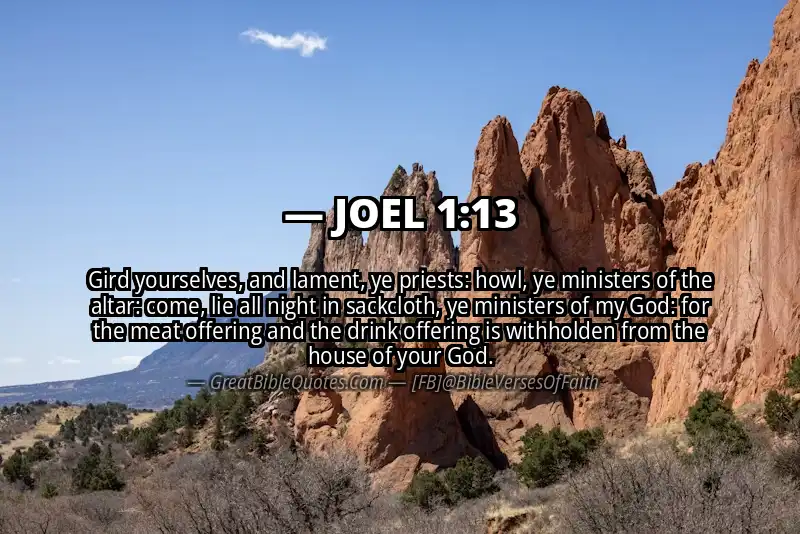 JOEL 1:13 Verse
