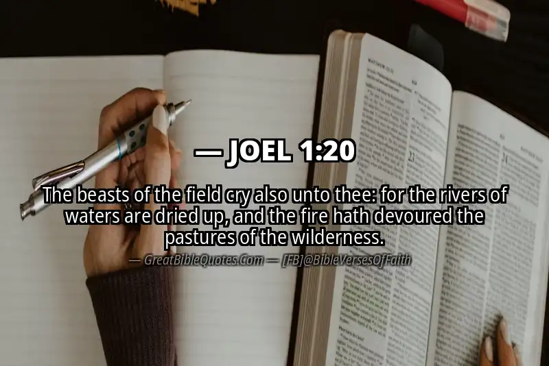 Bible verse: JOEL 1:20 Image