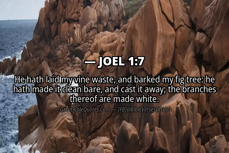 Bible verse: JOEL 1:7 Image