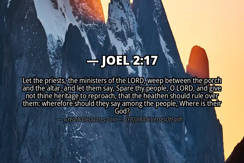 Bible verse: JOEL 2:17 Image