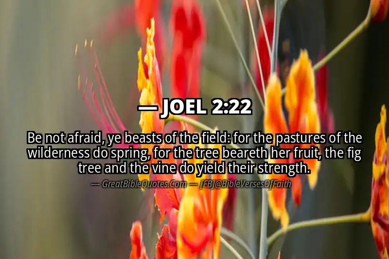 Bible verse: JOEL 2:22 Image