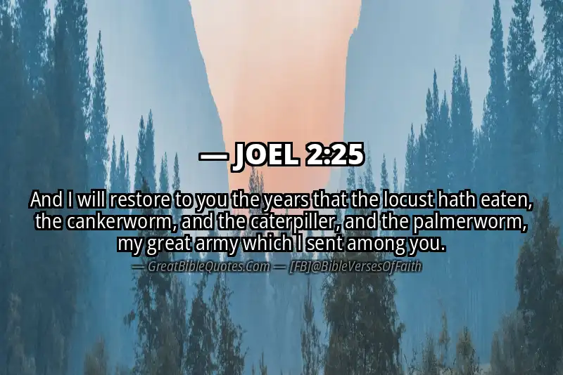Bible verse: JOEL 2:25 Image