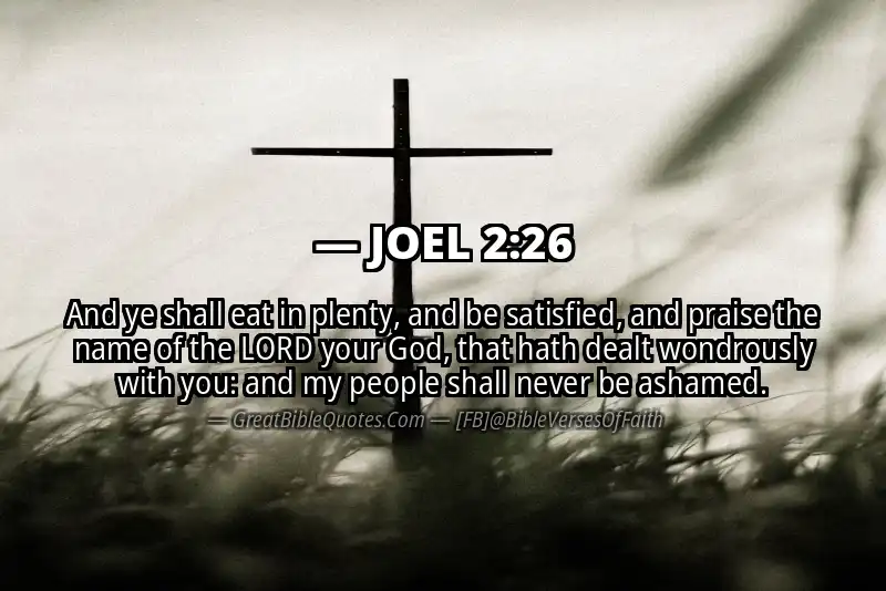 Bible verse: JOEL 2:26 Image