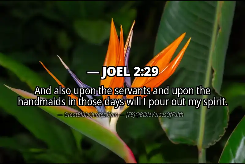 Bible verse: JOEL 2:29 Image