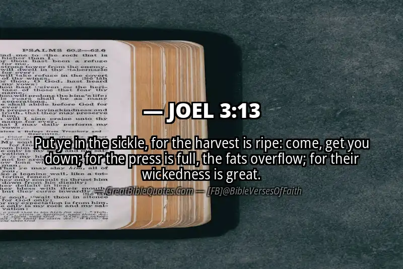 Bible verse: JOEL 3:13 Image