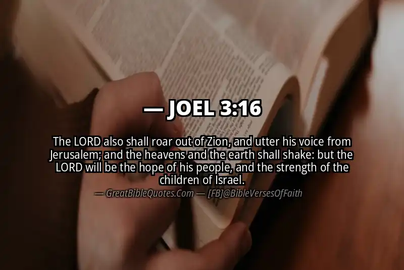 Bible verse: JOEL 3:16 Image