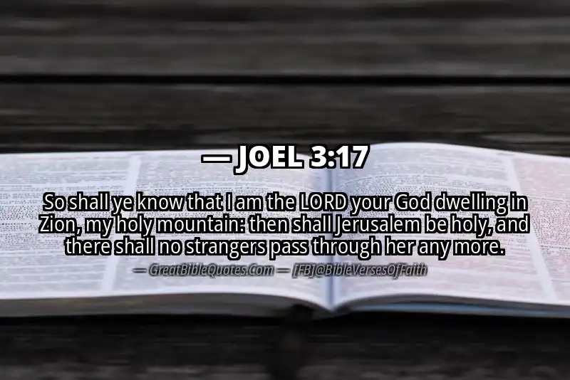Bible verse: JOEL 3:17 Image