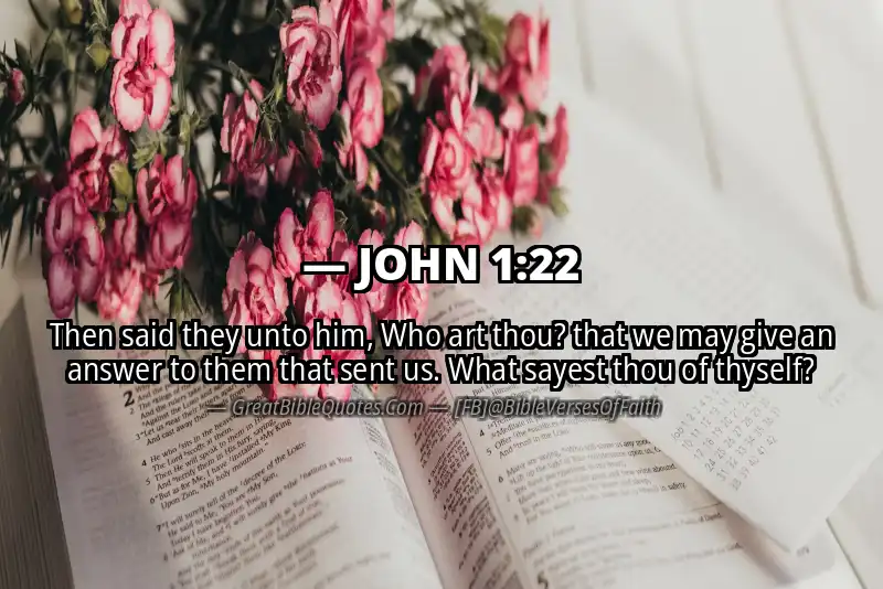 Bible verse: JOHN 1:22 Image