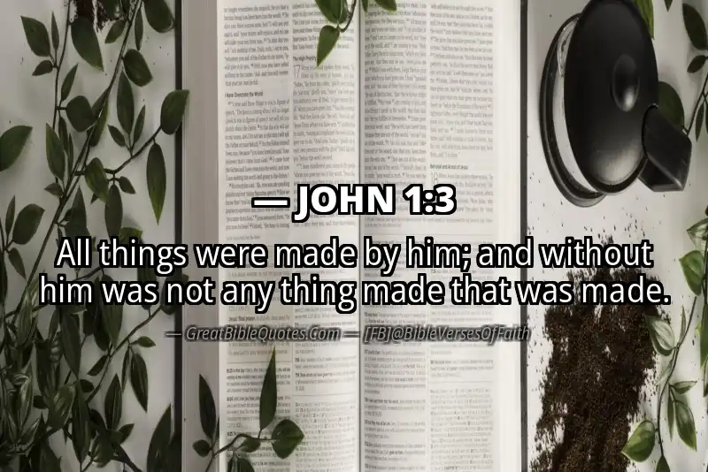 JOHN 1:3 Verse