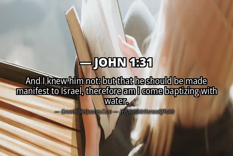 Bible verse: JOHN 1:31 Image