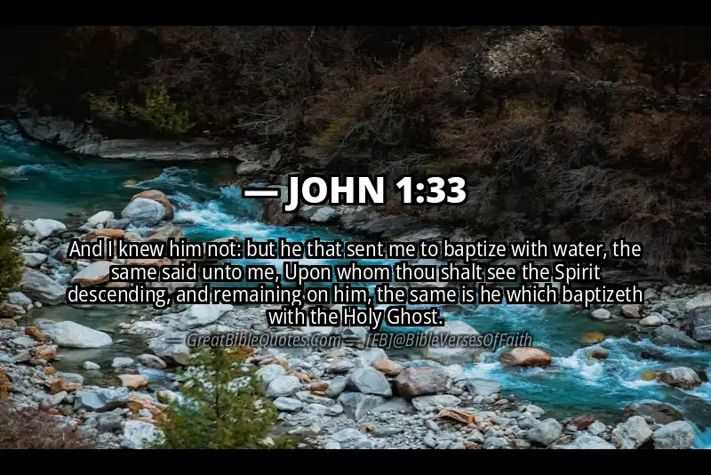 Bible verse: JOHN 1:33 Image