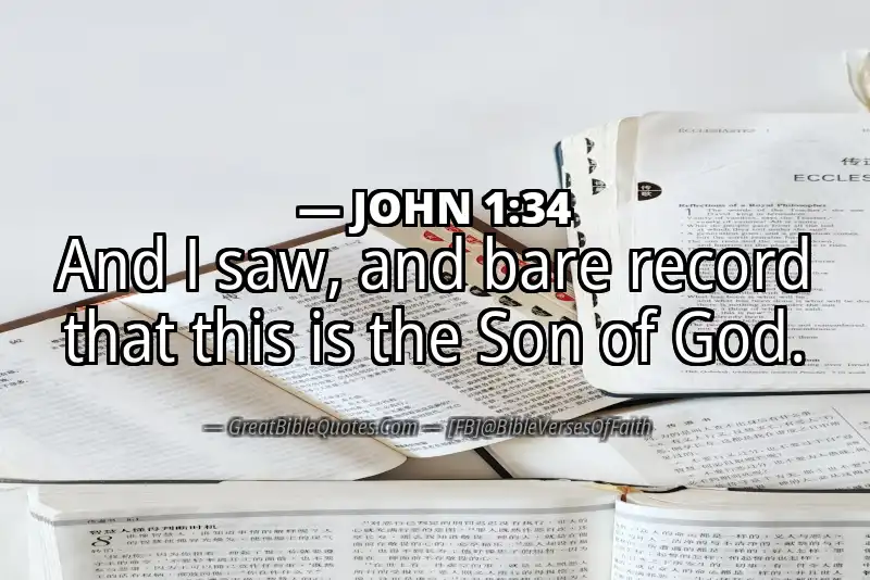 Bible verse: JOHN 1:34 Image