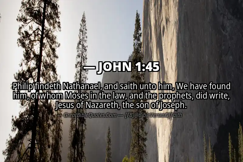 JOHN 1:45 Verse