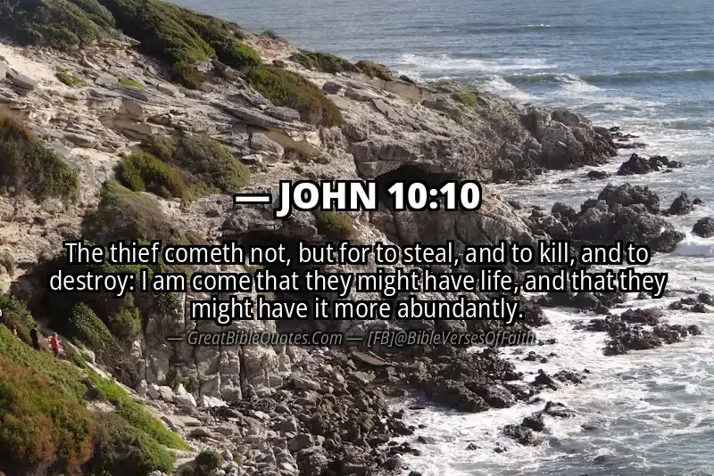 JOHN 10:10 Verse