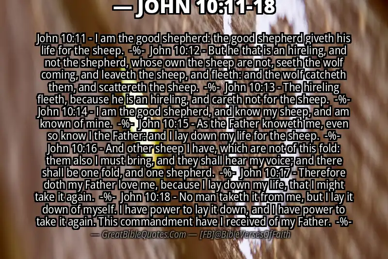 Image for JOHN 10:11-18 Bible verse