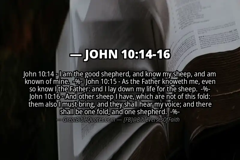 Image for JOHN 10:14-16 Bible verse