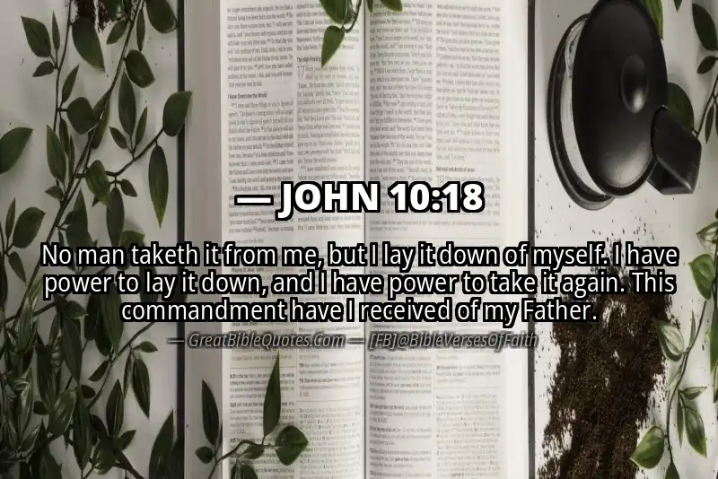 JOHN 10:18 Verse