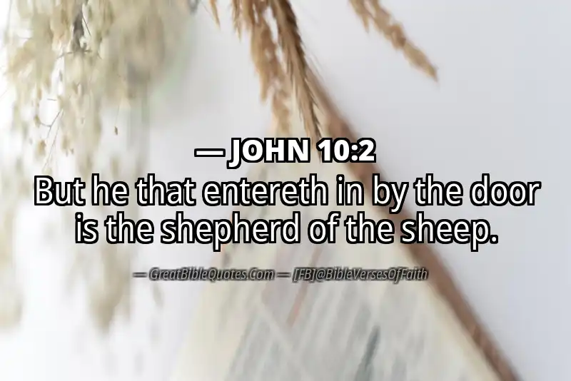 JOHN 10:2 Verse