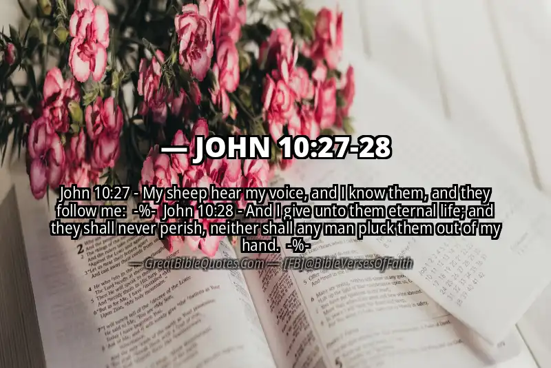 Image for JOHN 10:27-28 Bible verse