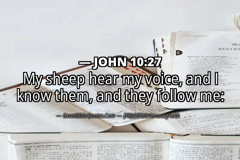 Image for JOHN 10:27 Bible verse
