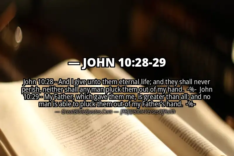 Image for JOHN 10:28-29 Bible verse