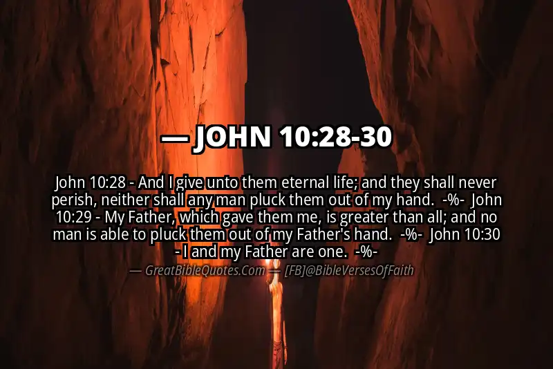 Image for JOHN 10:28-30 Bible verse
