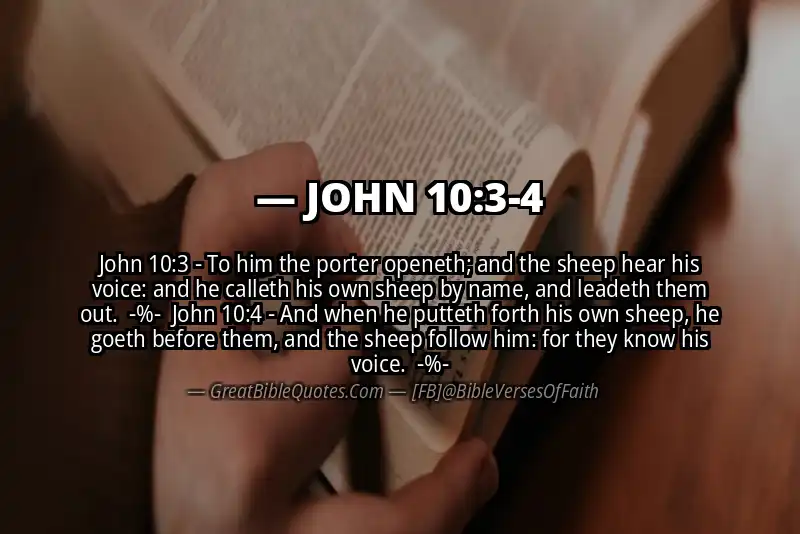 Image for JOHN 10:3-4 Bible verse