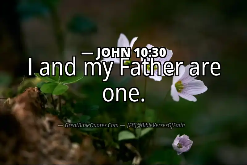 JOHN 10:30 Verse