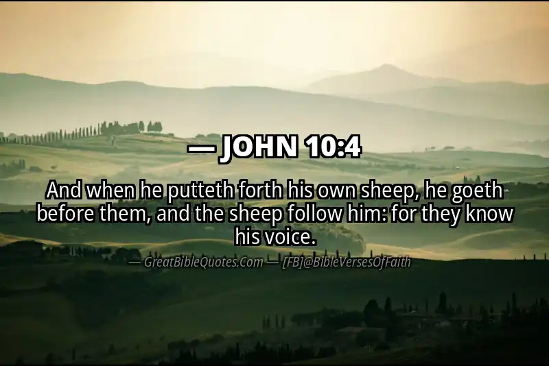 JOHN 10:4 Verse