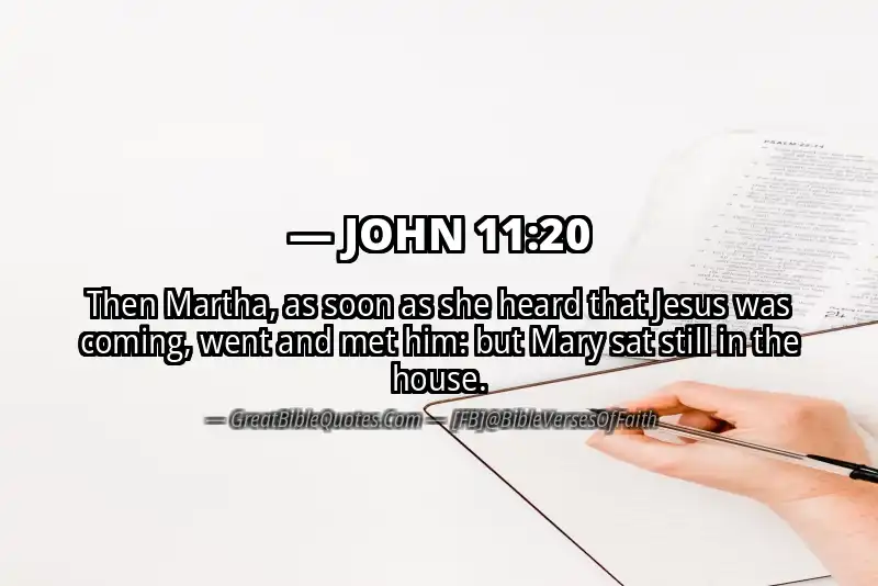 JOHN 11:20 Verse Image