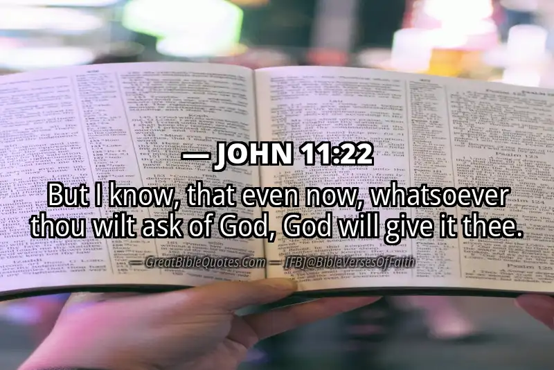 JOHN 11:22 Verse