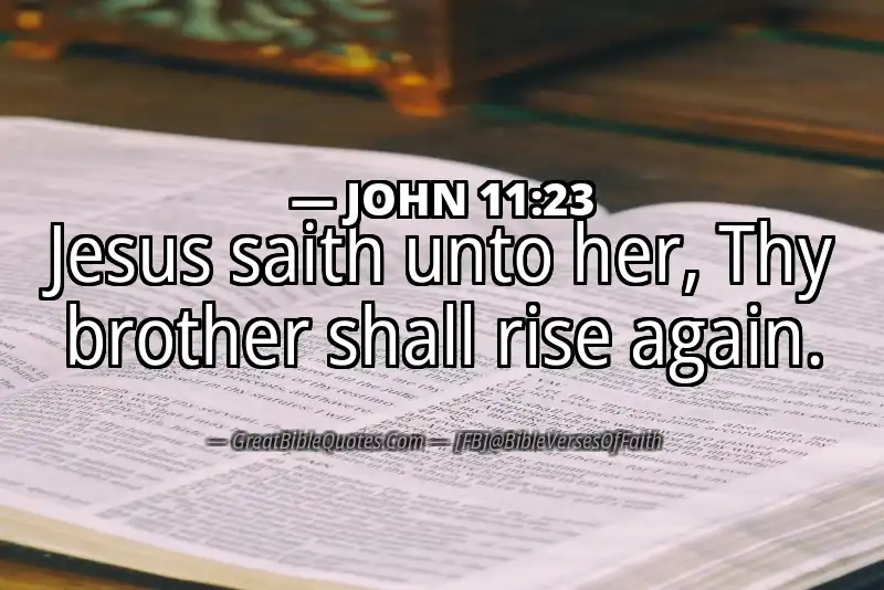 JOHN 11:23 Verse