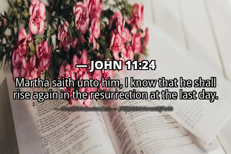 JOHN 11:24 Verse