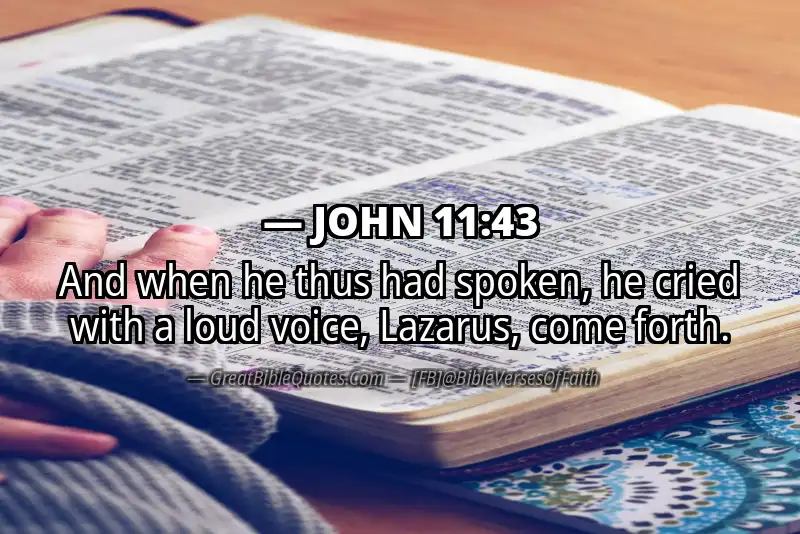 JOHN 11:43 Verse