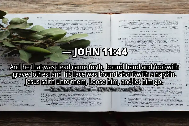 JOHN 11:44 Verse