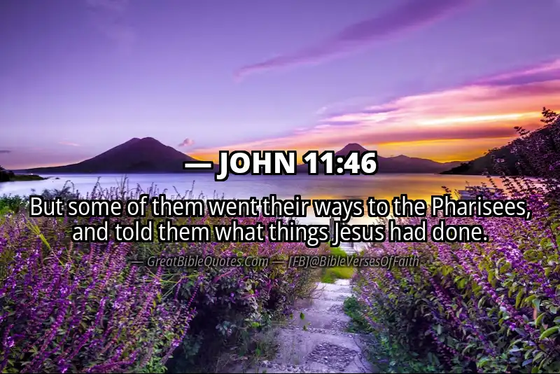 JOHN 11:46 Verse