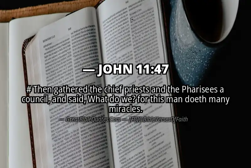 JOHN 11:47 Verse
